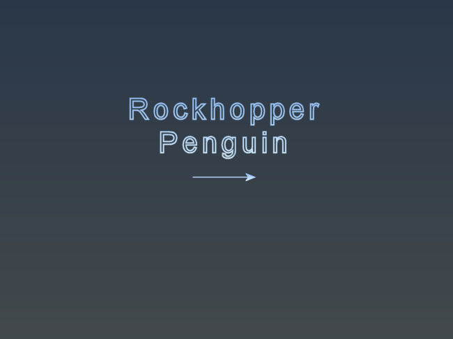 03_Rockhopper.jpg